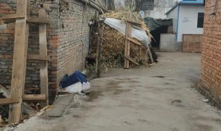 安徽省阜阳市临泉县